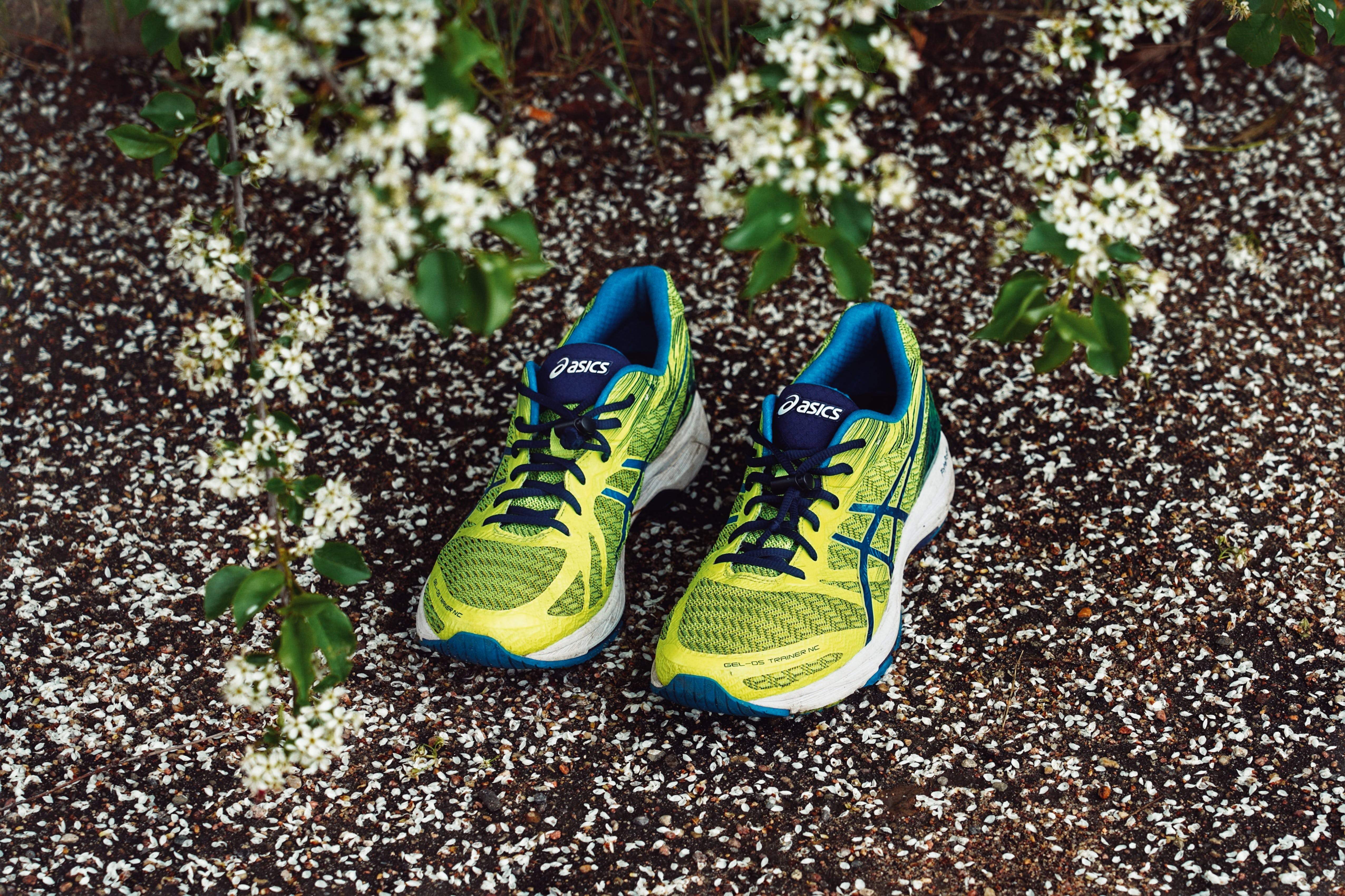 Choosing the Right Running Shoes: A Buyer’s Guide